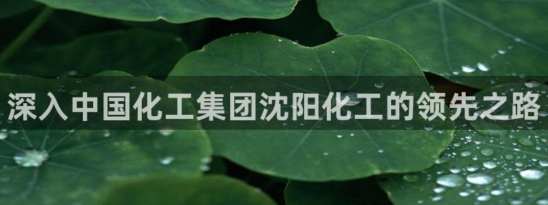 球盟会优惠券