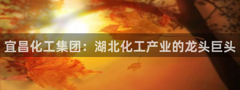 球盟会