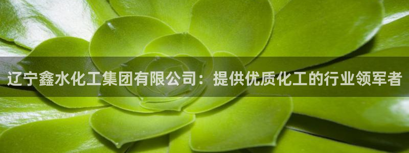 球盟会最新网：辽宁鑫水化工集团有限公司：提供优质化工的行业领