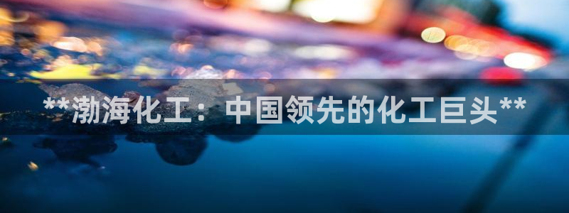 球盟会黑平台：**渤海化工：中国领先的化工巨头**