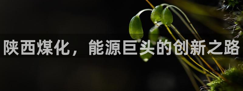 球盟会黑款吗知乎文章