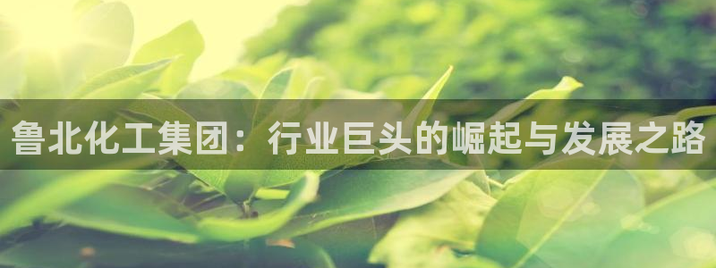 球盟会官网网页版
