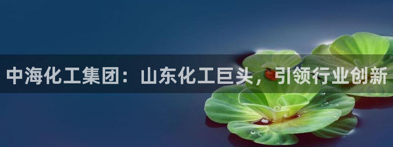 球盟会qmh - 球盟会官方网站