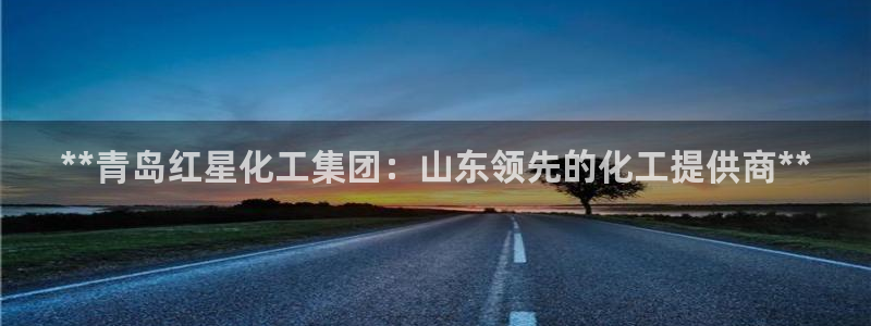 球盟会在线登录官网