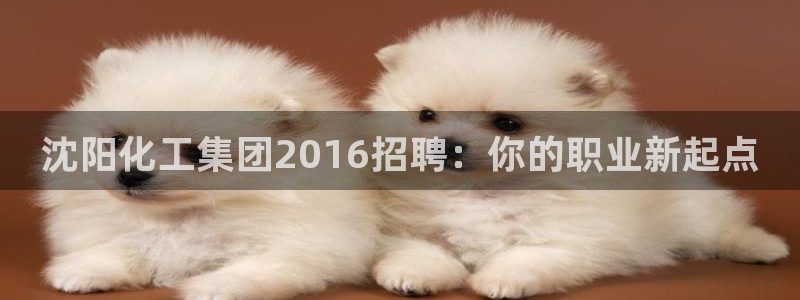 球盟会官方网站