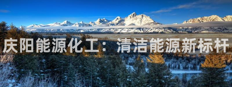 球盟会进不去球员吗