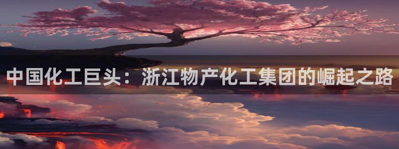 球盟会下载最新版