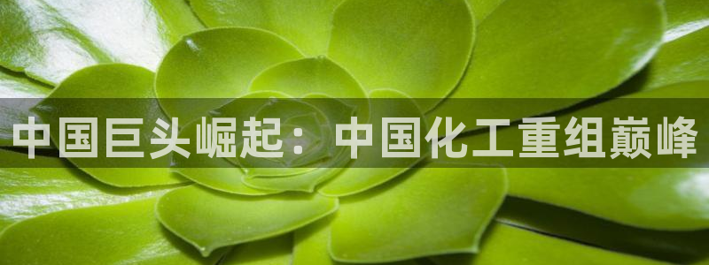 球盟会官方网站