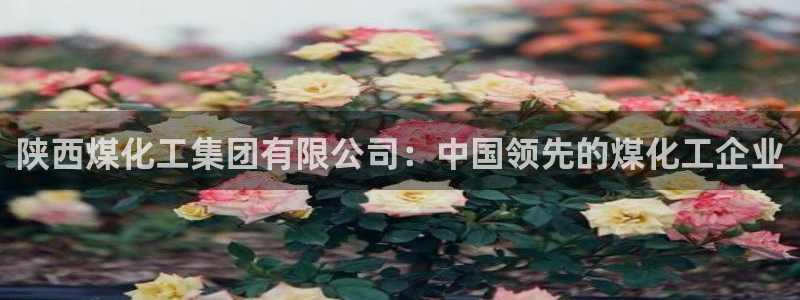 球盟会有没有黑单的活动