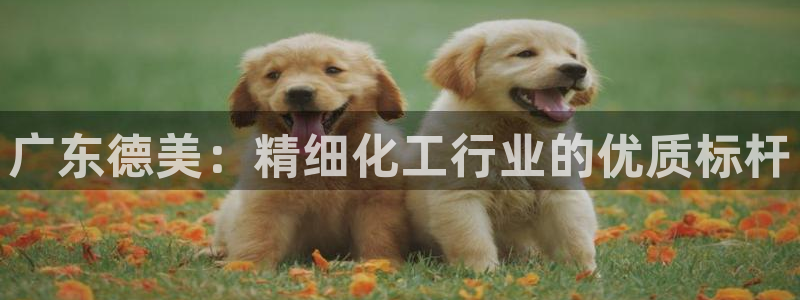 球盟会优惠领取网站是真的吗