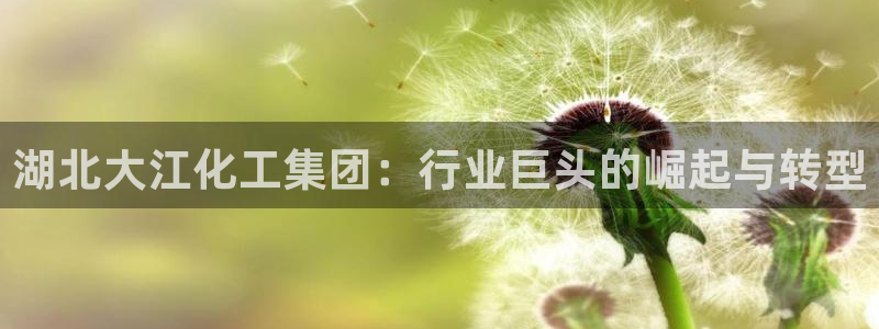 球盟会官方登录平台入口
