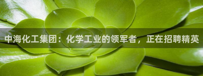 球盟会综合app下载