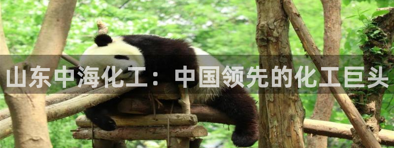 球盟会里面有打牌的嘛