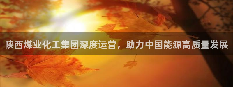 球盟会游戏几点玩合适