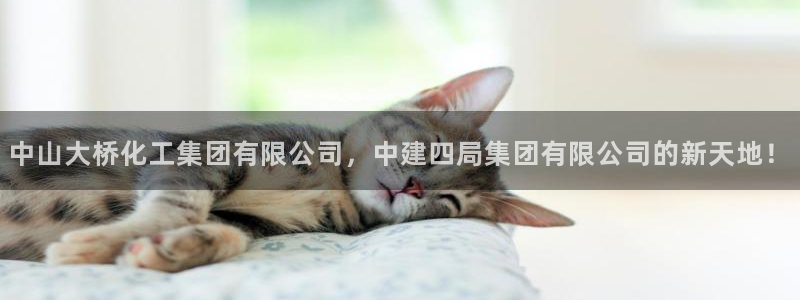 球盟会可靠不