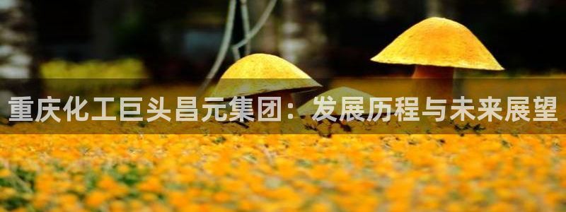 球盟会连接