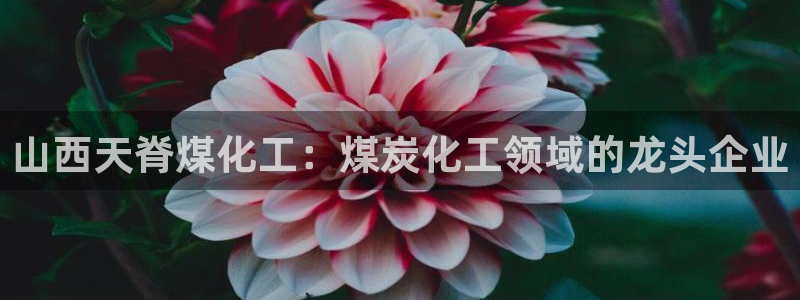 球盟会(中国)官方网站
