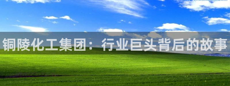 球盟会网页登录入口