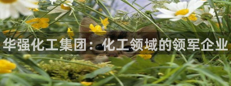 球盟会平台会黑单吗