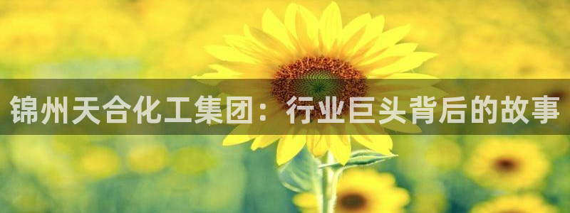 球盟会登陆入口