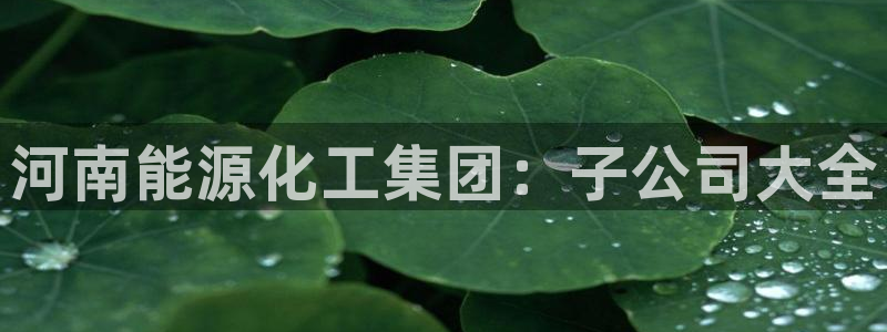 球盟会在线网站