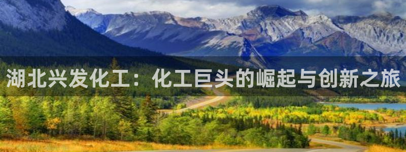 球盟会官方