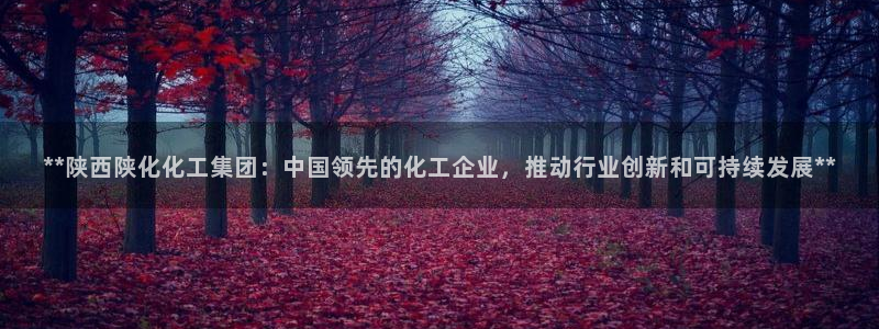 球盟会网页登录入口