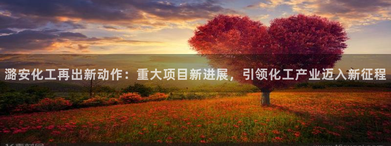 球盟会