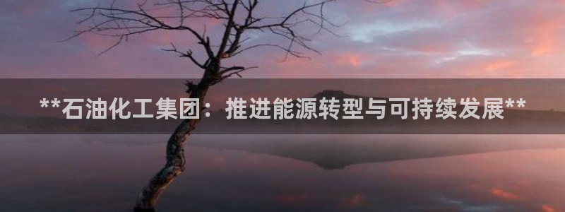 球盟会登录入口：**石油化工集团：推进能源转型与可持续发展*