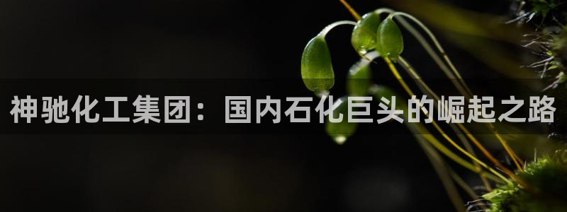 球盟会优惠券