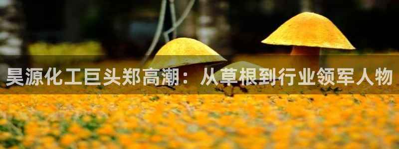 球盟会官方登录平台入口