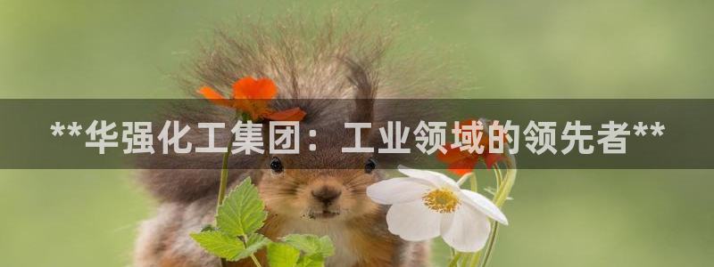 球盟会有没有黑单的球员：**华强化工集团：工业领域的领先者*