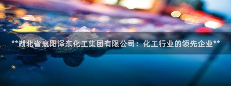 球盟会头号玩家是谁：**湖北省襄阳泽东化工集团有限公司：化工