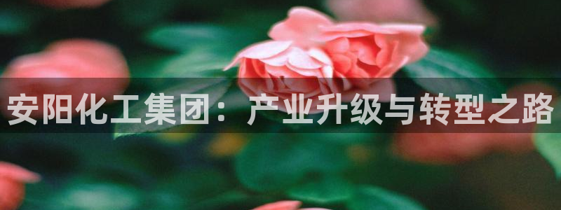 球盟会和中欧合作吗
