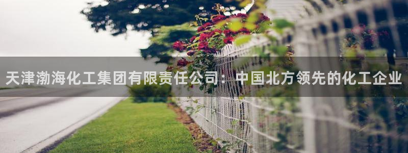 球盟会头号玩家：天津渤海化工集团有限责任公司：中国北方领先的