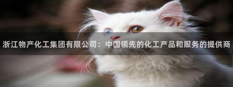 球盟会有限公司怎么样：浙江物产化工集团有限公司：中国领先的化