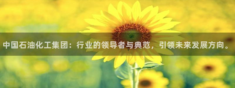 球盟会类似的网站：中国石油化工集团：行业的领导者与典范，引领