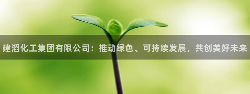 球盟会可靠不：建滔化工集团有限公司：推动绿色、可持续发展，共