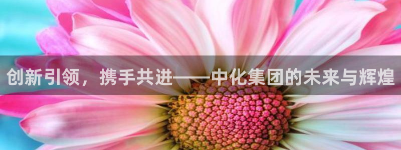 球盟会app入口：创新引领，携手共进——中化集团的未来与辉煌