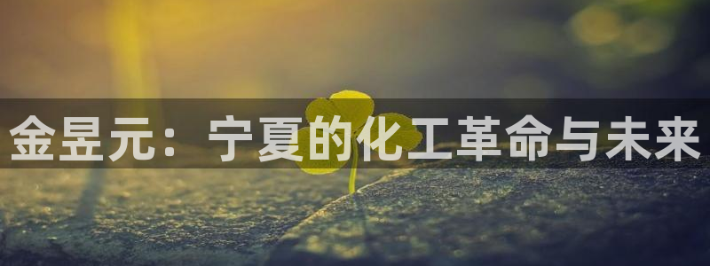球盟会封禁：金昱元：宁夏的化工革命与未来