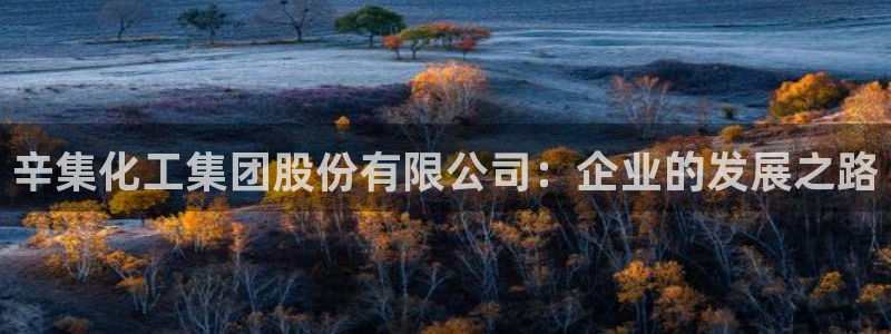 球盟会官方下载：辛集化工集团股份有限公司：企业的发展之路