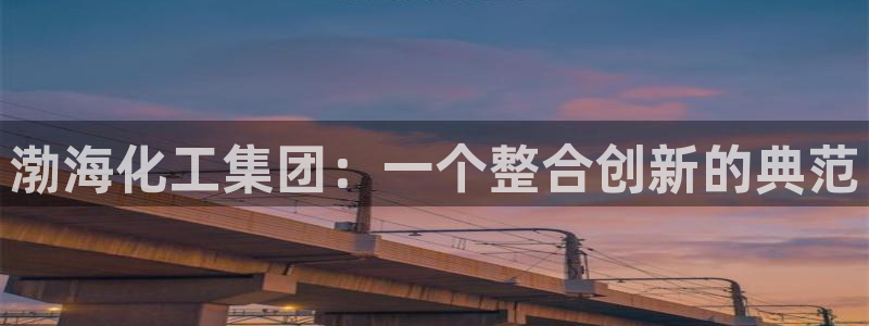 球盟会黑台：渤海化工集团：一个整合创新的典范