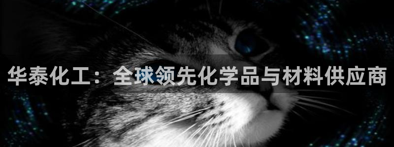 球盟会app手机登录：华泰化工：全球领先化学品与材料供应商