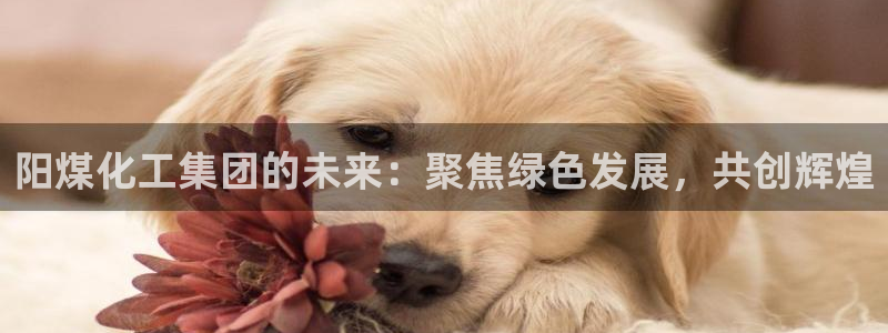 球盟会体验金：阳煤化工集团的未来：聚焦绿色发展，共创辉煌