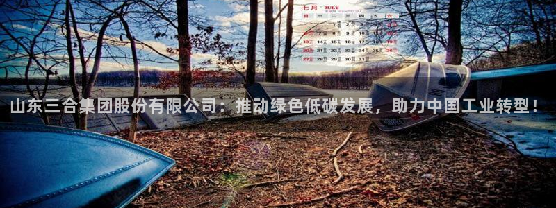 球盟会几点玩合适：山东三合集团股份有限公司：推动绿色低碳发展