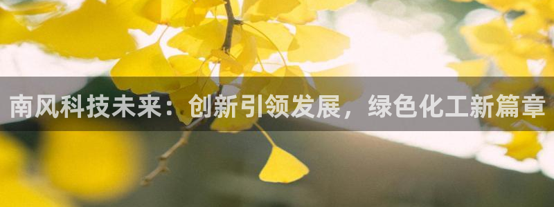 球盟会类似的网站：南风科技未来：创新引领发展，绿色化工新篇章