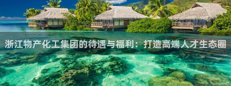 球盟会提款支付宝怎么样：浙江物产化工集团的待遇与福利：打造高