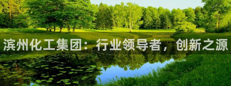 球盟会app入口：滨州化工集团：行业领导者，创新之源
