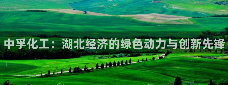 球盟会有没有黑单的：中孚化工：湖北经济的绿色动力与创新先锋