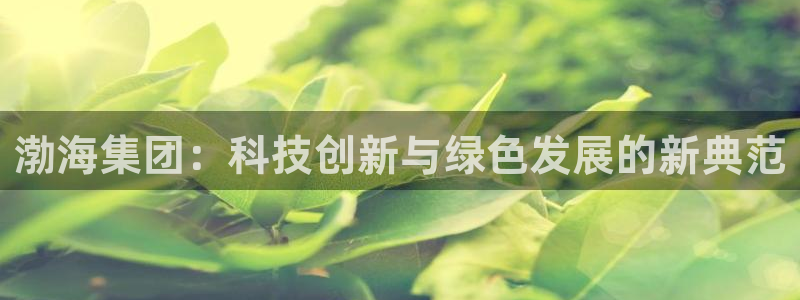 球盟会网页登录app下载地址：渤海集团：科技创新与绿色发展的